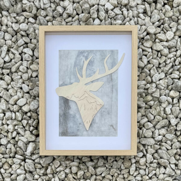 Majesté des Forêts