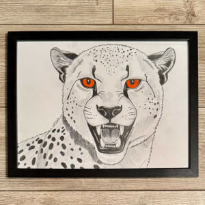 guepard graphite
