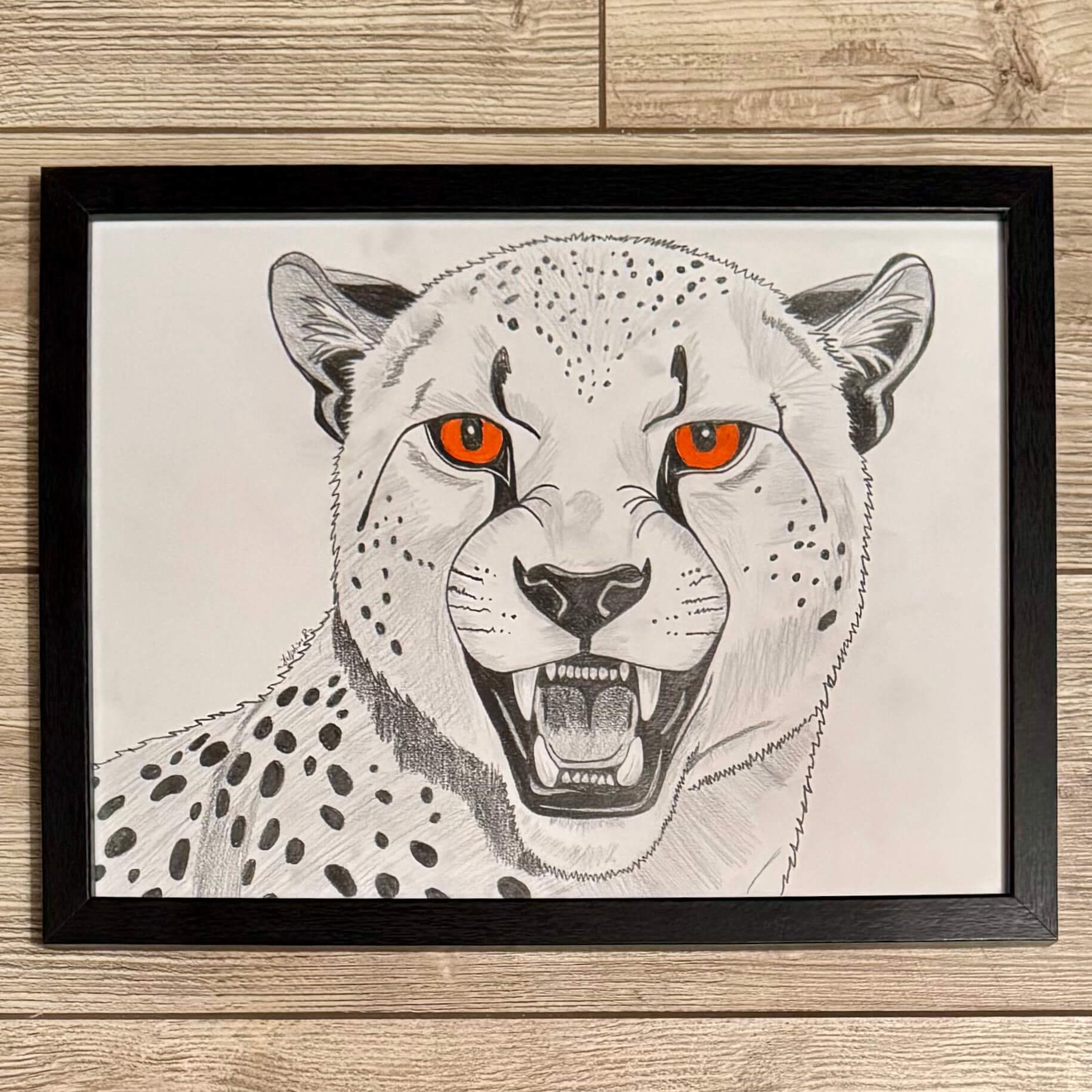guepard graphite