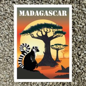 les murmures de Madagascar